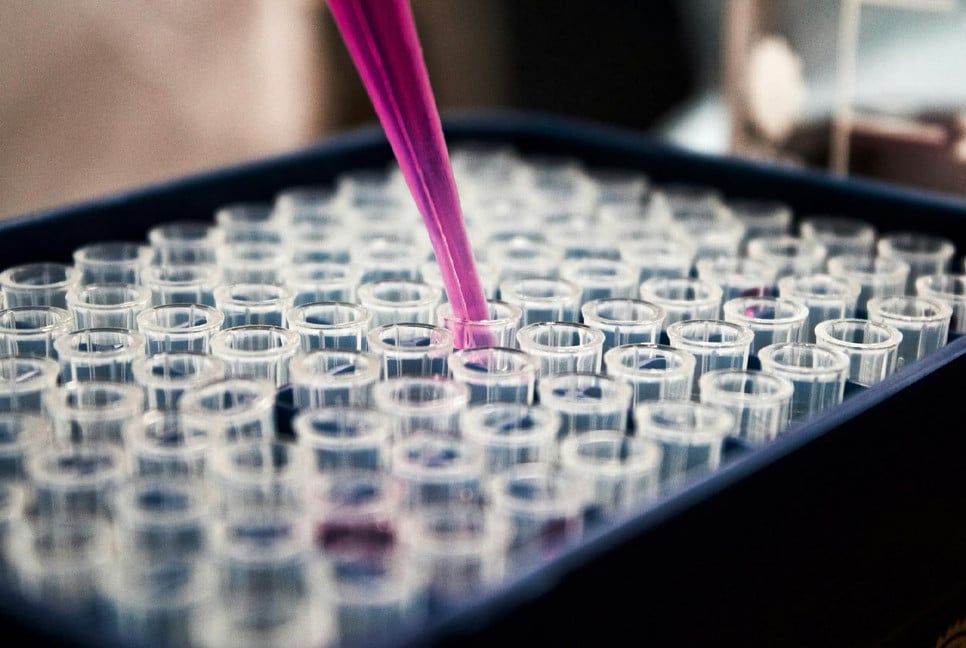Researchers Explore TB-500’s Potential Role in Cellular Repair and Biological Coordination