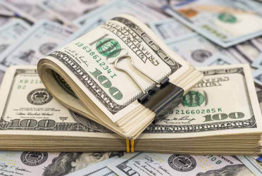 Remittance inflow surges 25.83pc in 1st 10 days of June