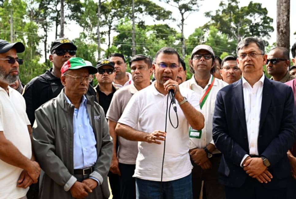 PM calls on citizens to plant trees wherever possible