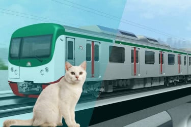 Metrorail services suspended after cat enters high-voltage track area