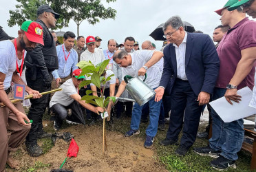PM inaugurates 25 crore tree plantation program across the country
