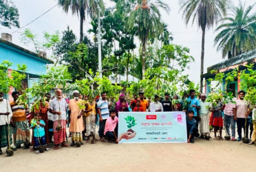 Tree plantation, sapling distribution programme held in Lalmonirhat
