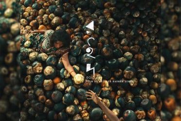 ‘Roid’ blends myth, memory and magnificent visuals