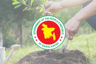 Bangladesh eyes $1bn annual carbon credit earnings from 25 crore tree plantation drive