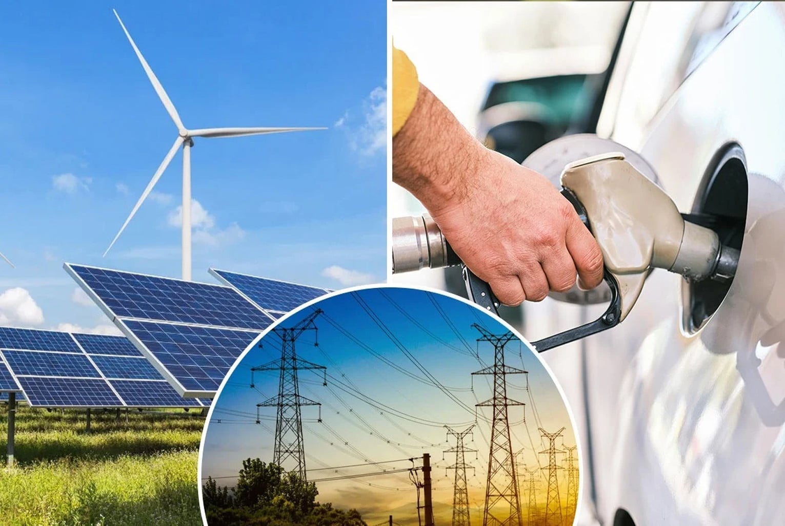 No experience, yet eight bureaucrats on power, energy boards