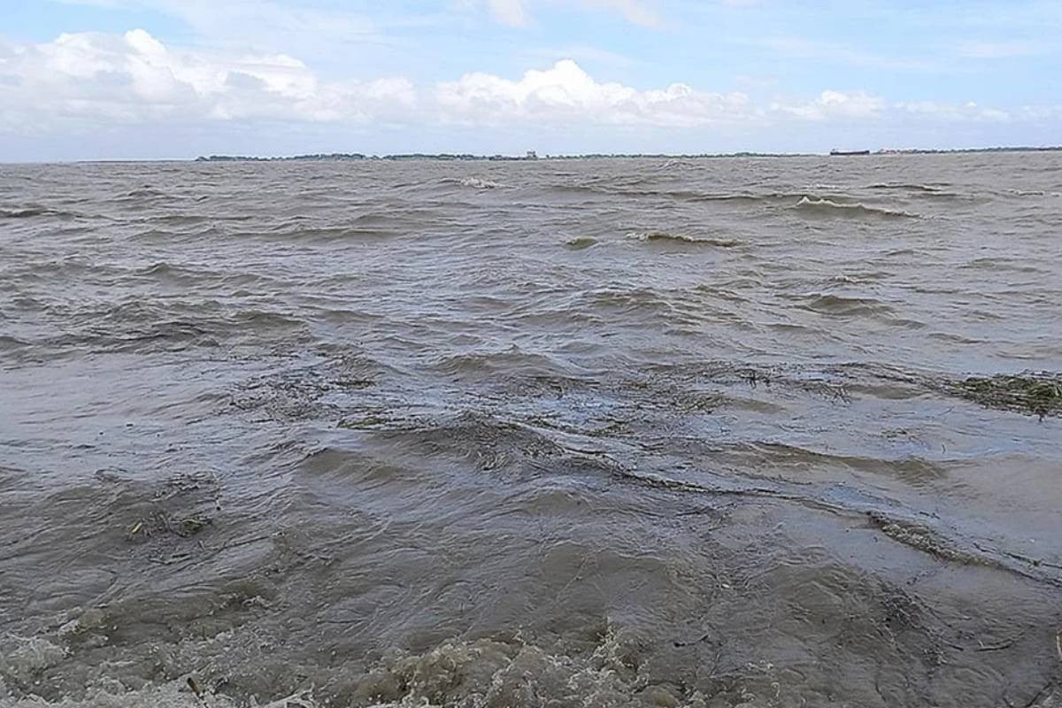 Water levels in 4 rivers remain below warning level