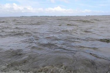 Water levels in 4 rivers remain below warning level