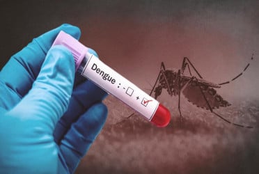 Dengue: 5 die, 124 hospitalized in 24 hrs