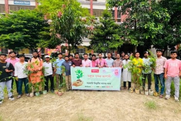 Tree plantation programme held at Titumir College